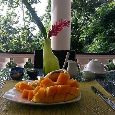 Lime Hill Lodge Anse aux Pins Ngoại thất bức ảnh